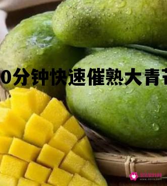 10分钟快速催熟大青芒_10分钟快速催熟大青芒果的方法